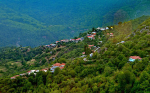 amarantos_konitsa