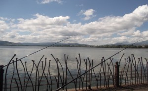 paralimnio_kalamia1