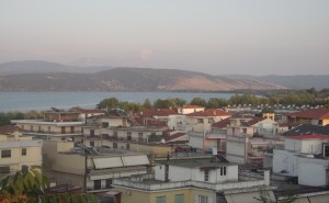poli_psila1
