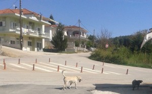 skylos_penteli_zoom