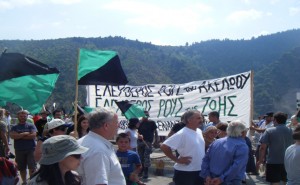 mesoxora2009